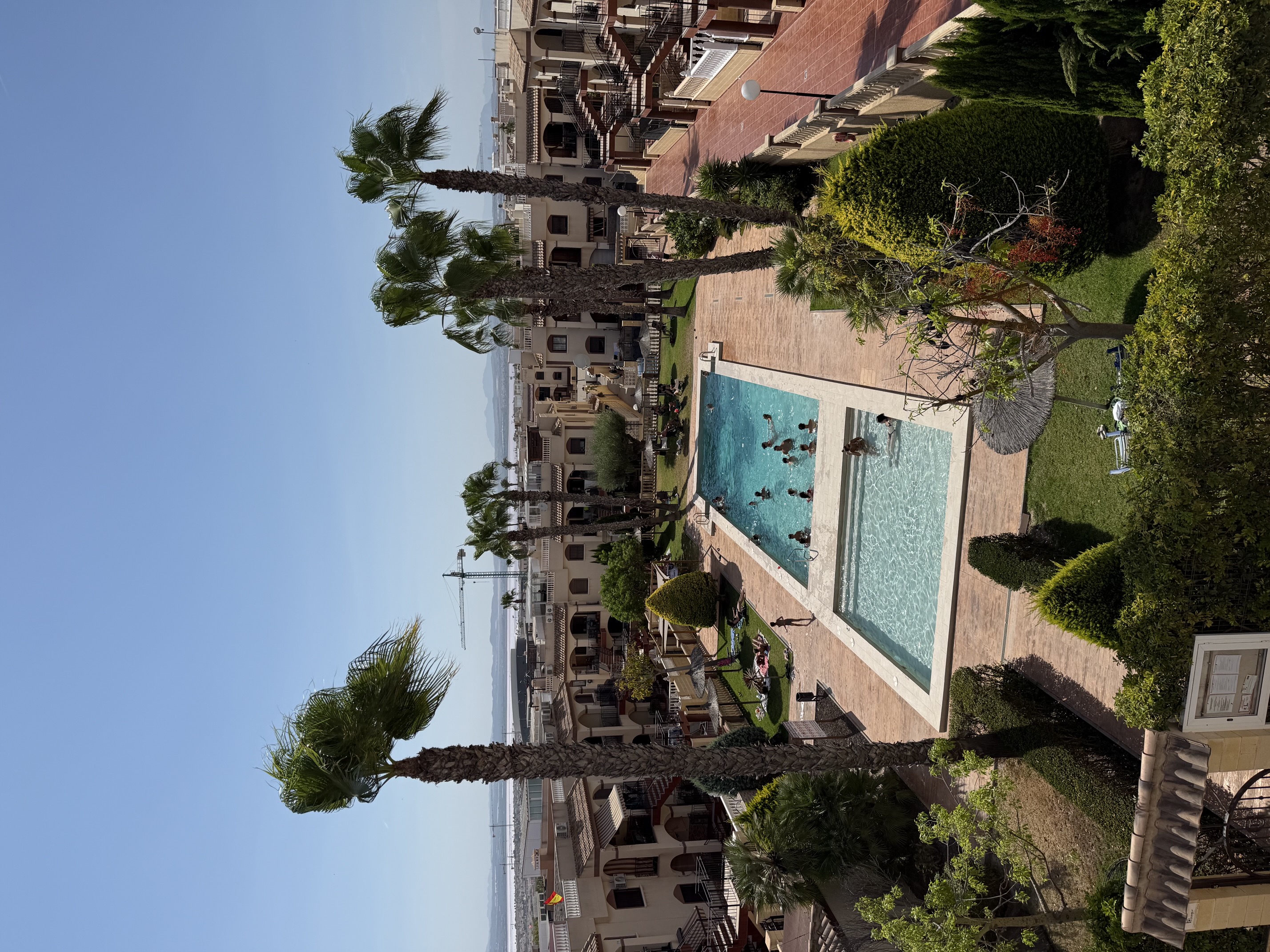 Pool och palmer vid Casa de Holm i Torrevieja